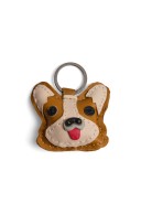 the color of the photo