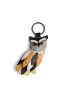 the color of the photo